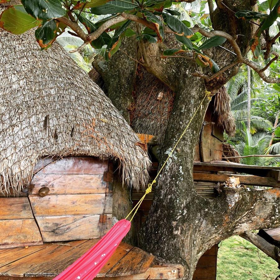 Ensuenos Natural Reserve Little Corn Island Nicaragua 외부 사진
