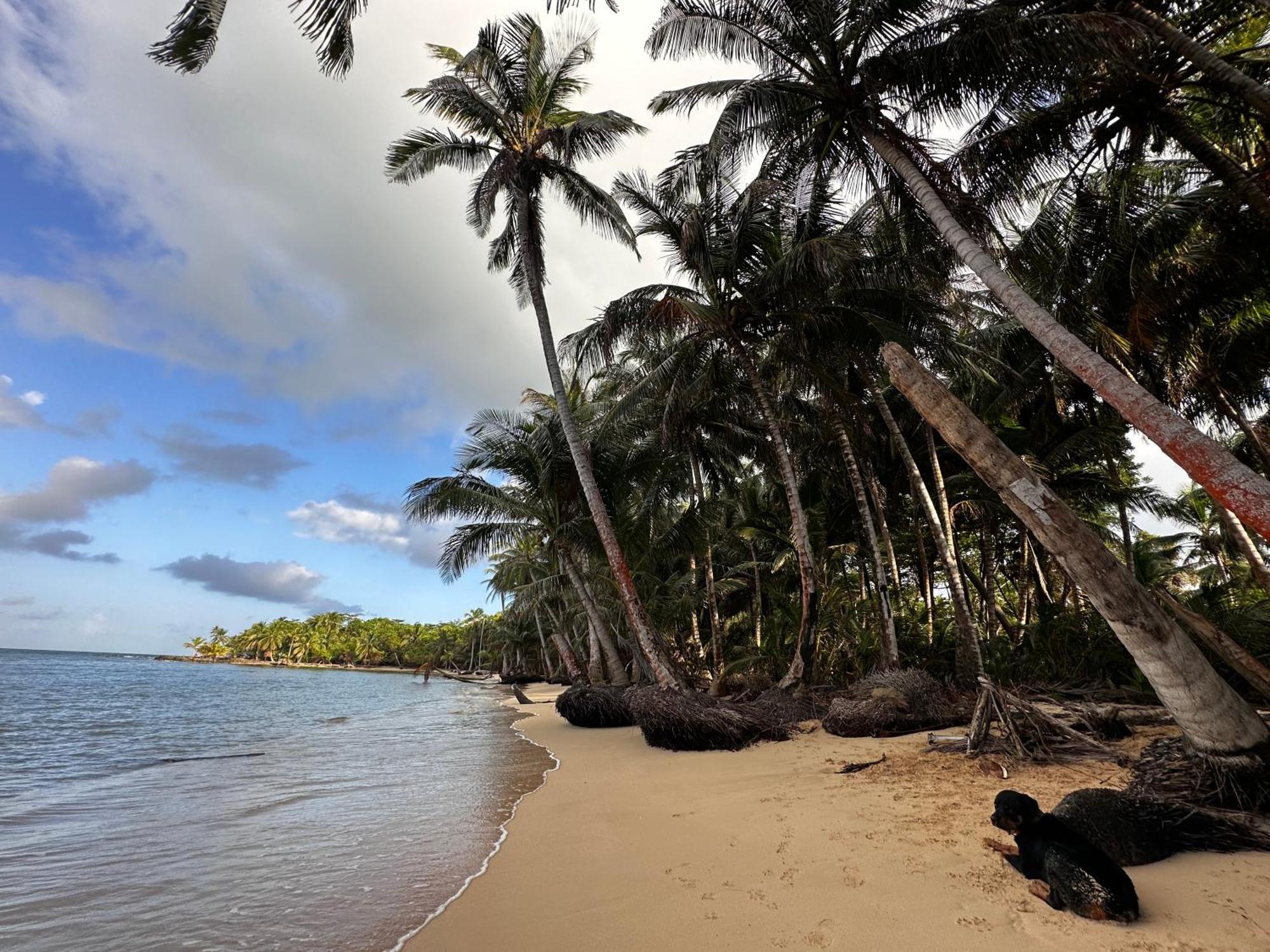 Ensuenos Natural Reserve Little Corn Island Nicaragua 외부 사진